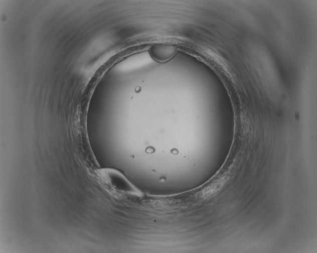 X0000068260875200604211042