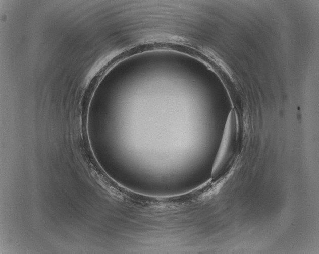 X0000068260877200604211042