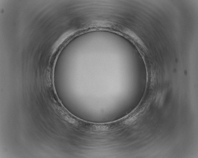 X0000068260878200604211042