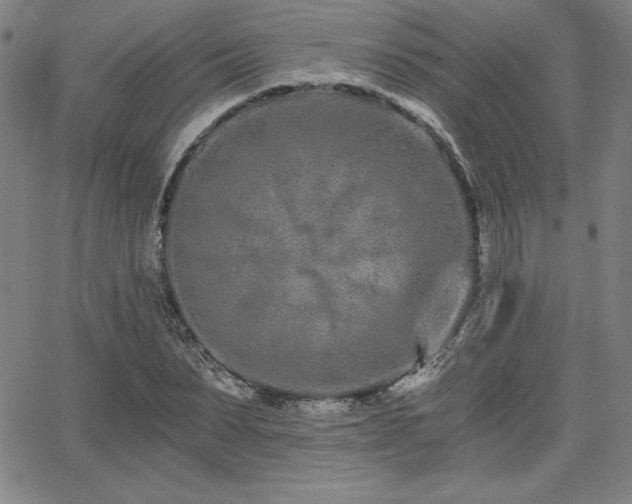 X0000068260879200604211042