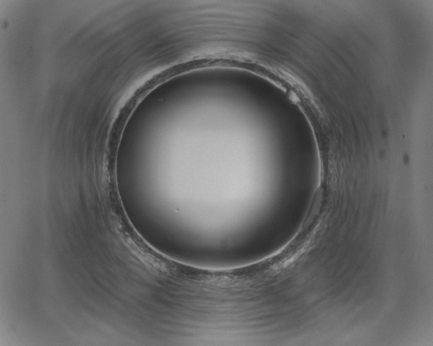 X0000068260880200604211042