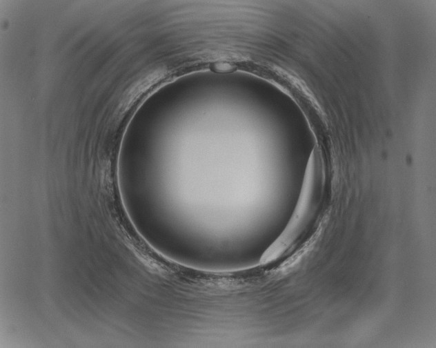 X0000068260881200604211042