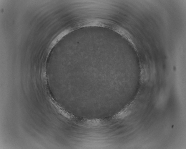 X0000068260882200604211042