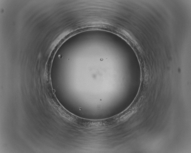 X0000068260883200604211042