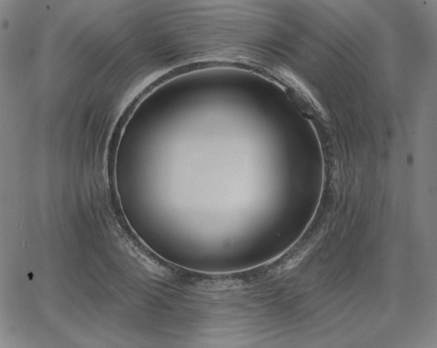 X0000068260884200604211042