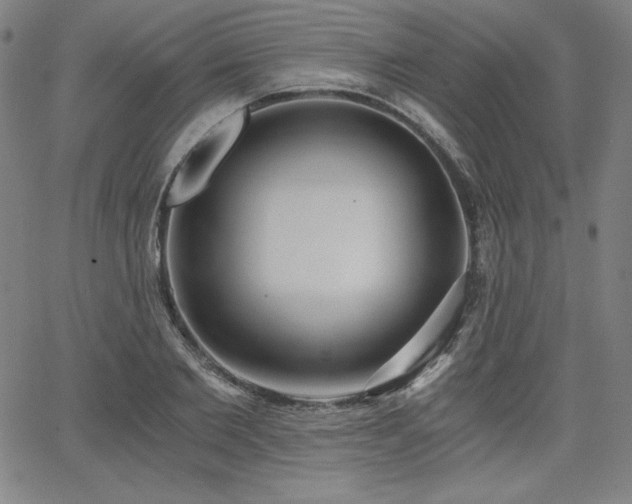 X0000068260885200604211042