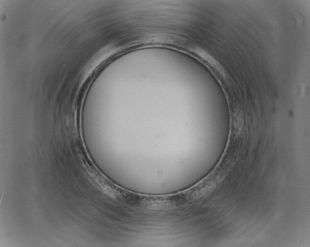 X0000068260886200604211042