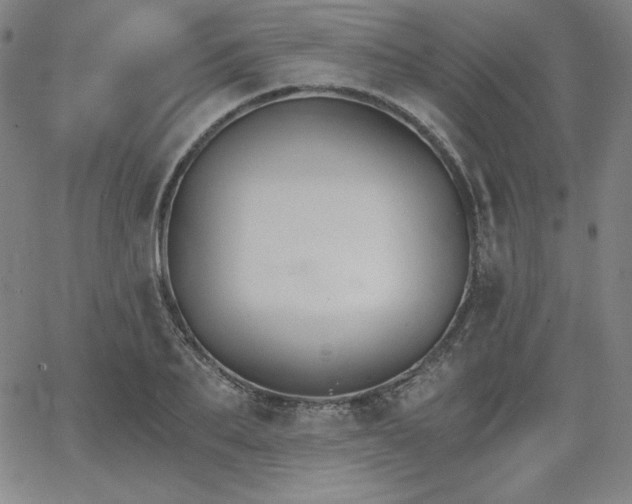 X0000068260887200604211041