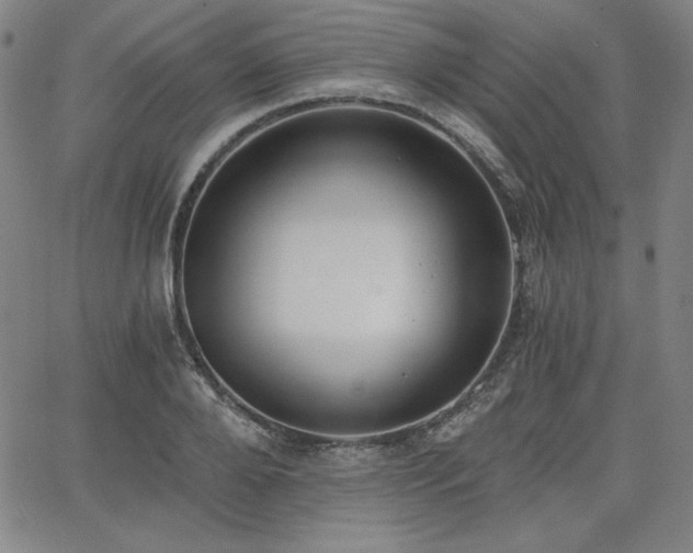 X0000068260888200604211041