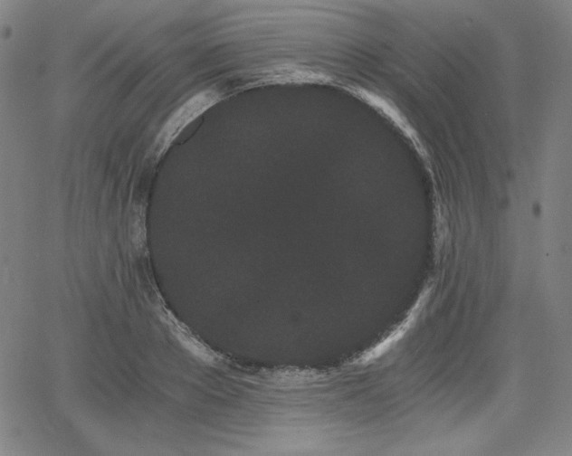 X0000068260889200604211041