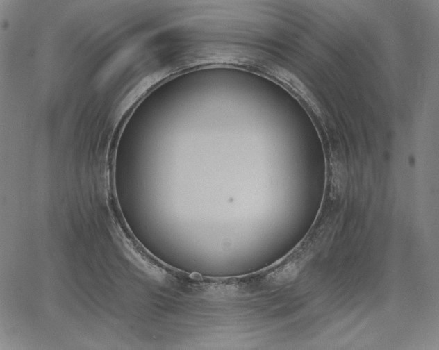 X0000068260890200604211041