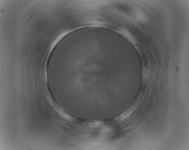 X0000068260891200604211041