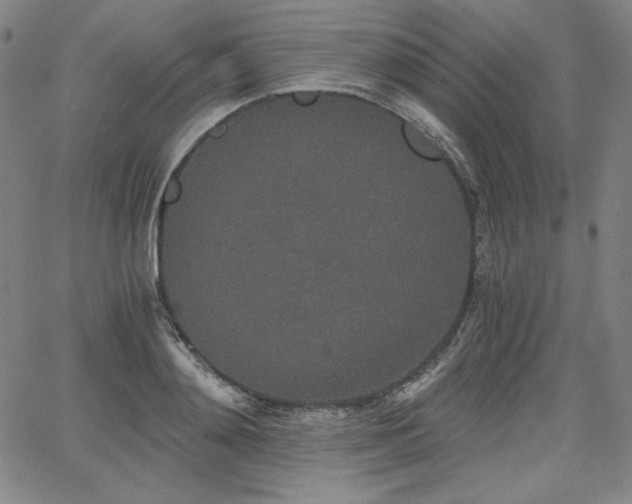 X0000068260892200604211041