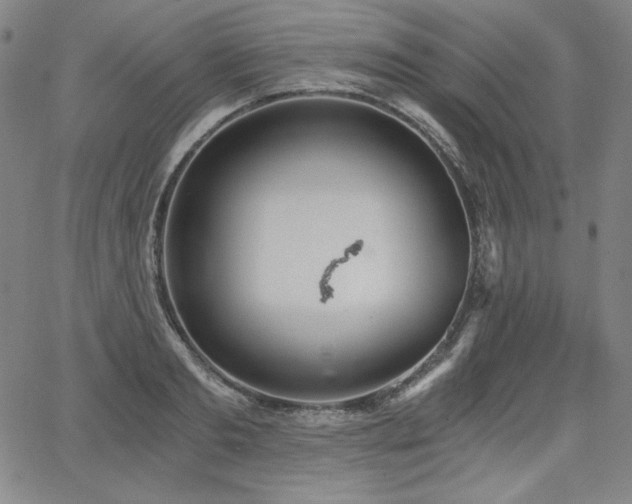 X0000068260893200604211041