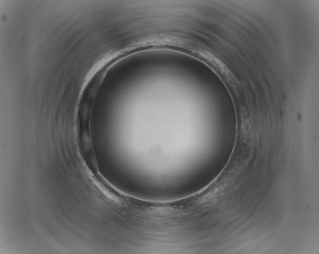 X0000068260894200604211041