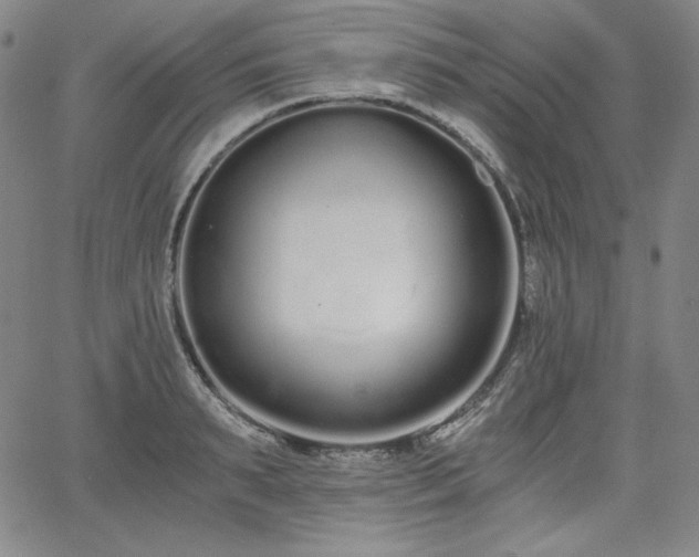 X0000068260895200604211041