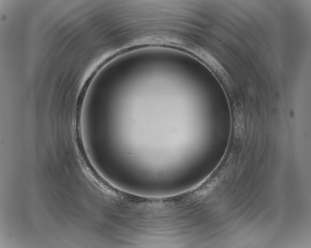 X0000068260896200604211041