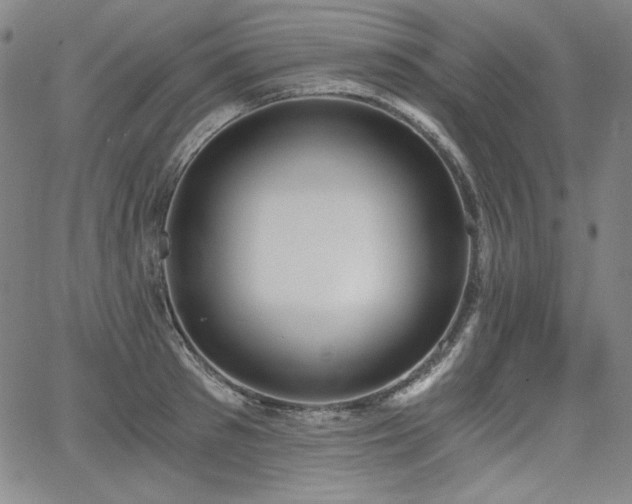 X0000068260897200604211041