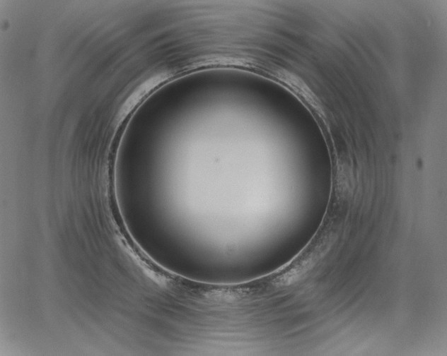 X0000068260898200604211041