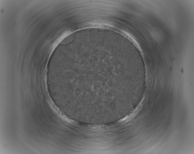 X0000068260899200604211041