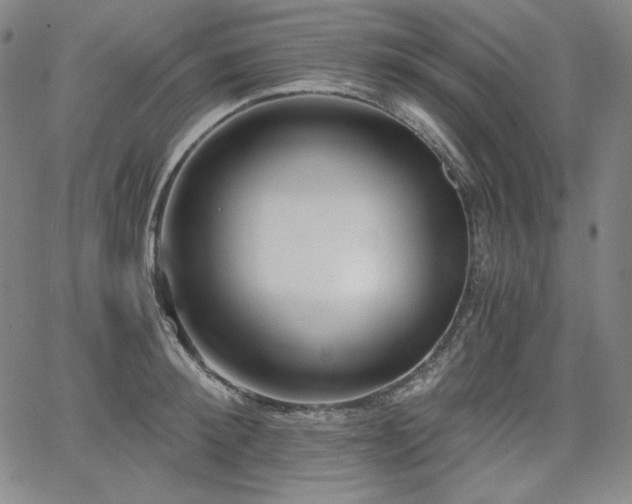 X0000068260900200604211041