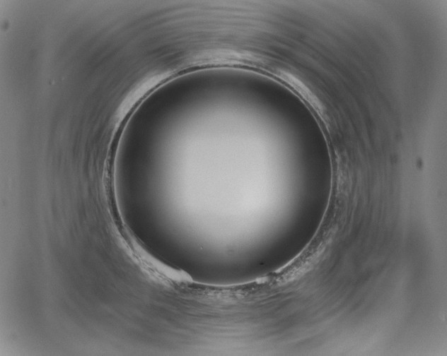 X0000068260901200604211041