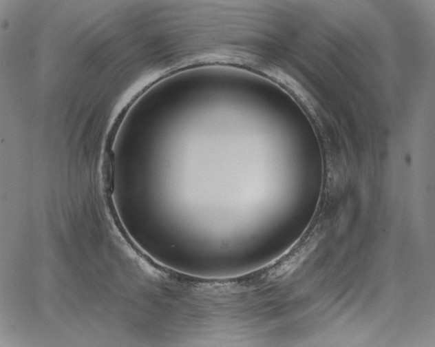 X0000068260902200604211041