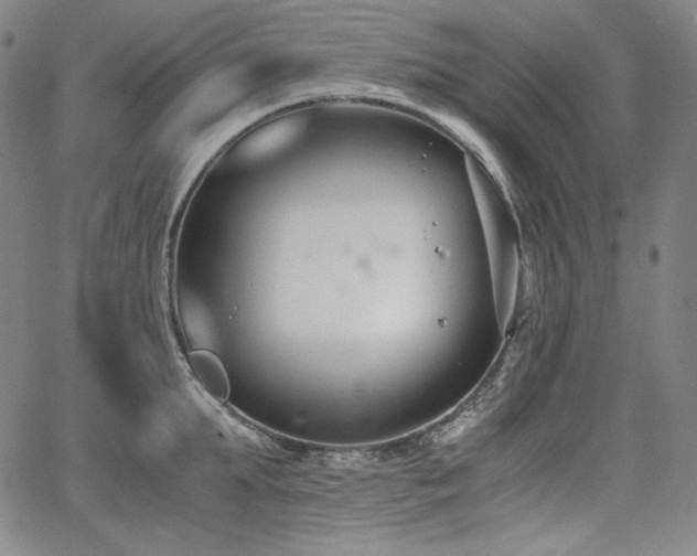 X0000068260903200604211041