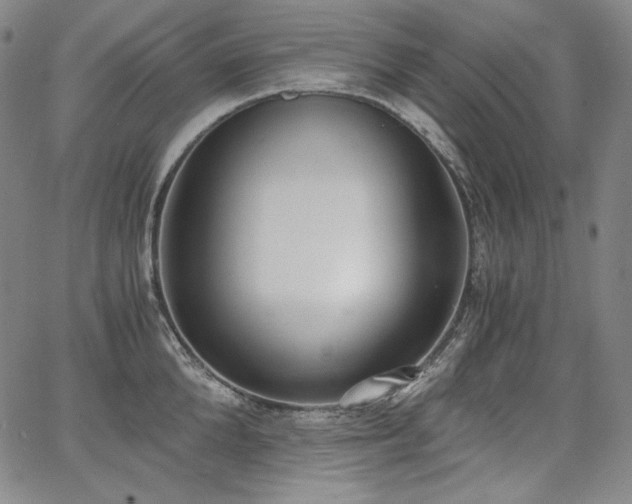 X0000068260904200604211041