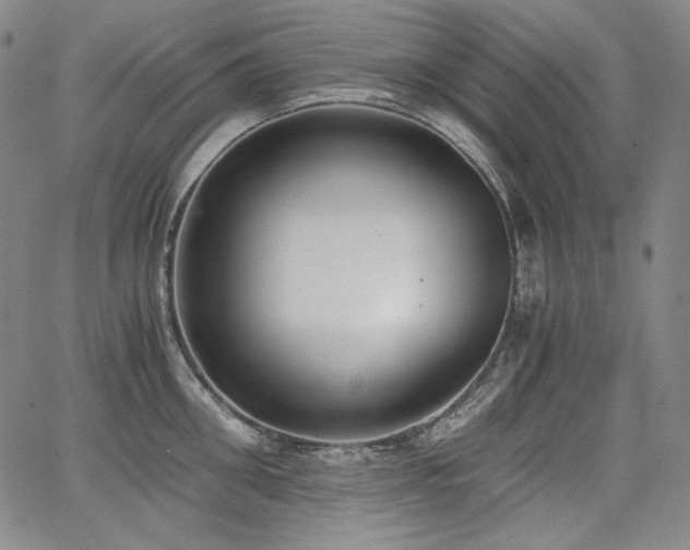 X0000068260906200604211041