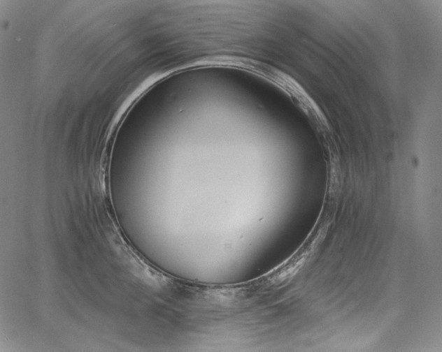 X0000068260908200604211041