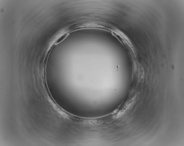 X0000068260909200604211041