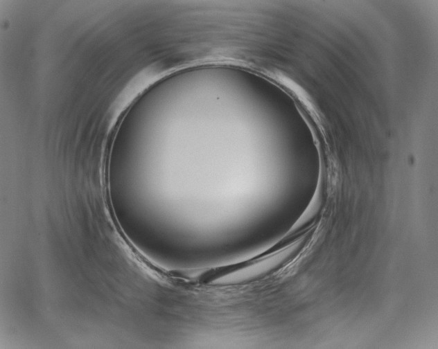 X0000068260910200604211041