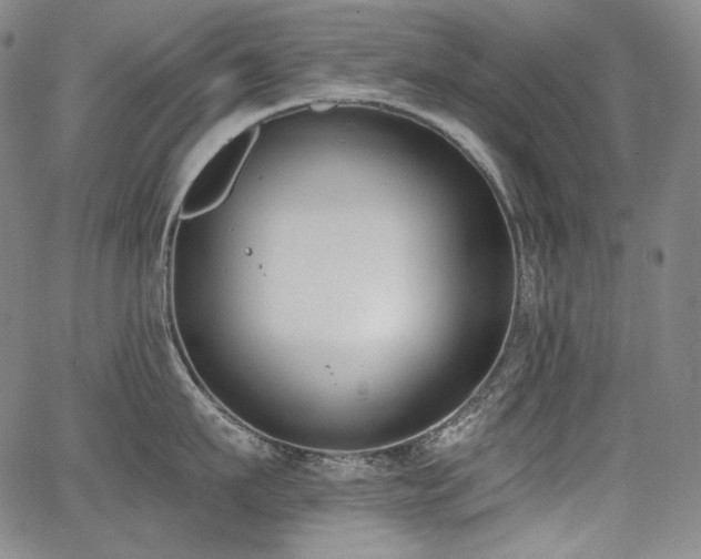 X0000068260911200604211041