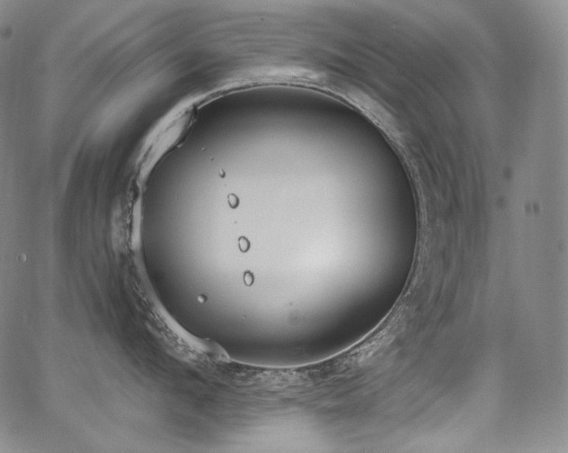 X0000068260912200604211041