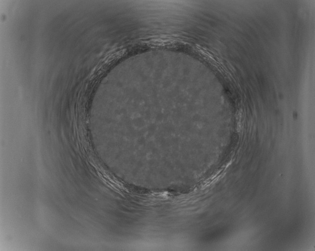 X0000068260913200604211040