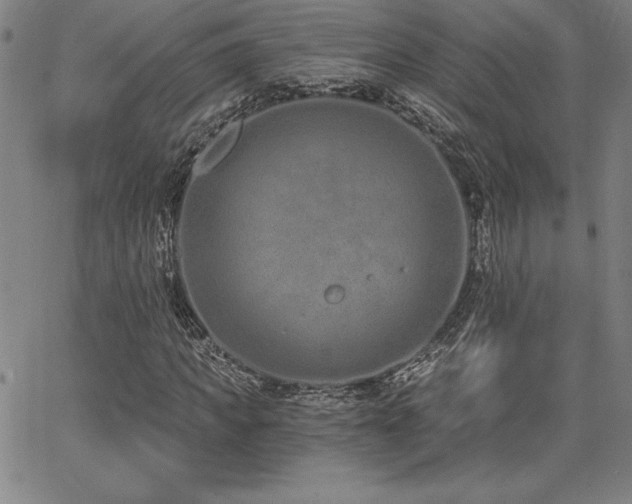 X0000068260917200604211040