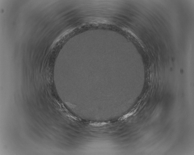 X0000068260919200604211040