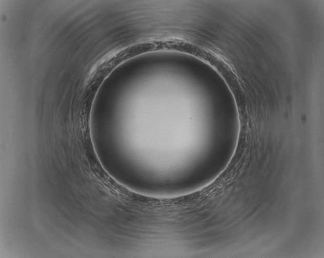 X0000068260920200604211040