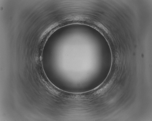 X0000068260922200604211040