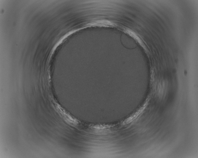 X0000068260923200604211040