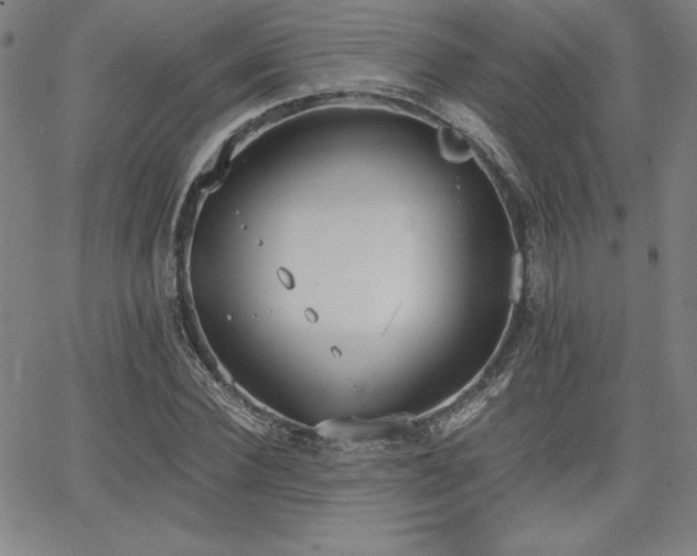 X0000068260924200604211040