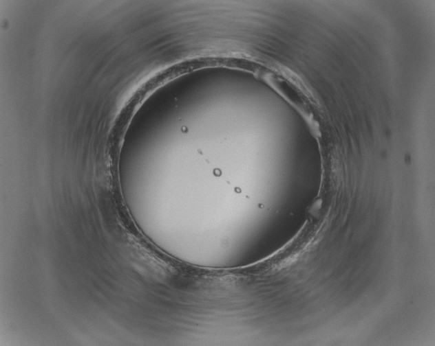 X0000068260926200604211040