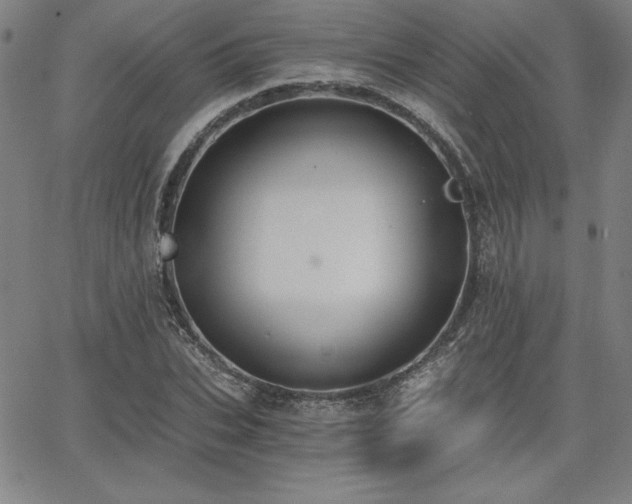 X0000068260927200604211041