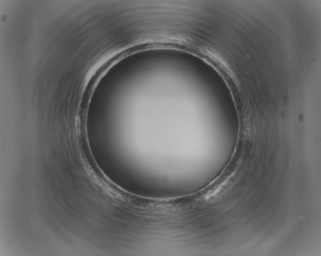 X0000068260928200604211041