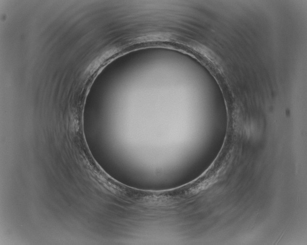 X0000068260929200604211041