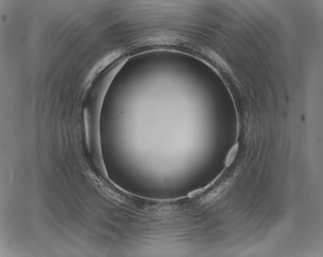 X0000068260930200604211041