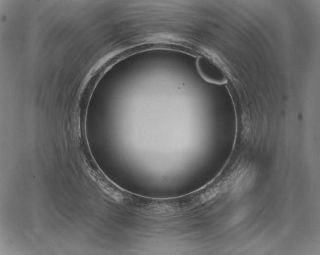 X0000068260931200604211041