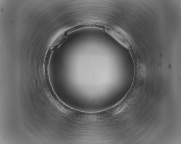 X0000068260932200604211041