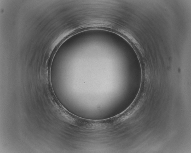 X0000068260933200604211041